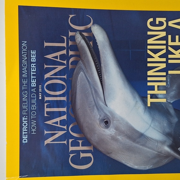 National Geographic thinking like a dolphin science book 2015 - Picture 5 of 8